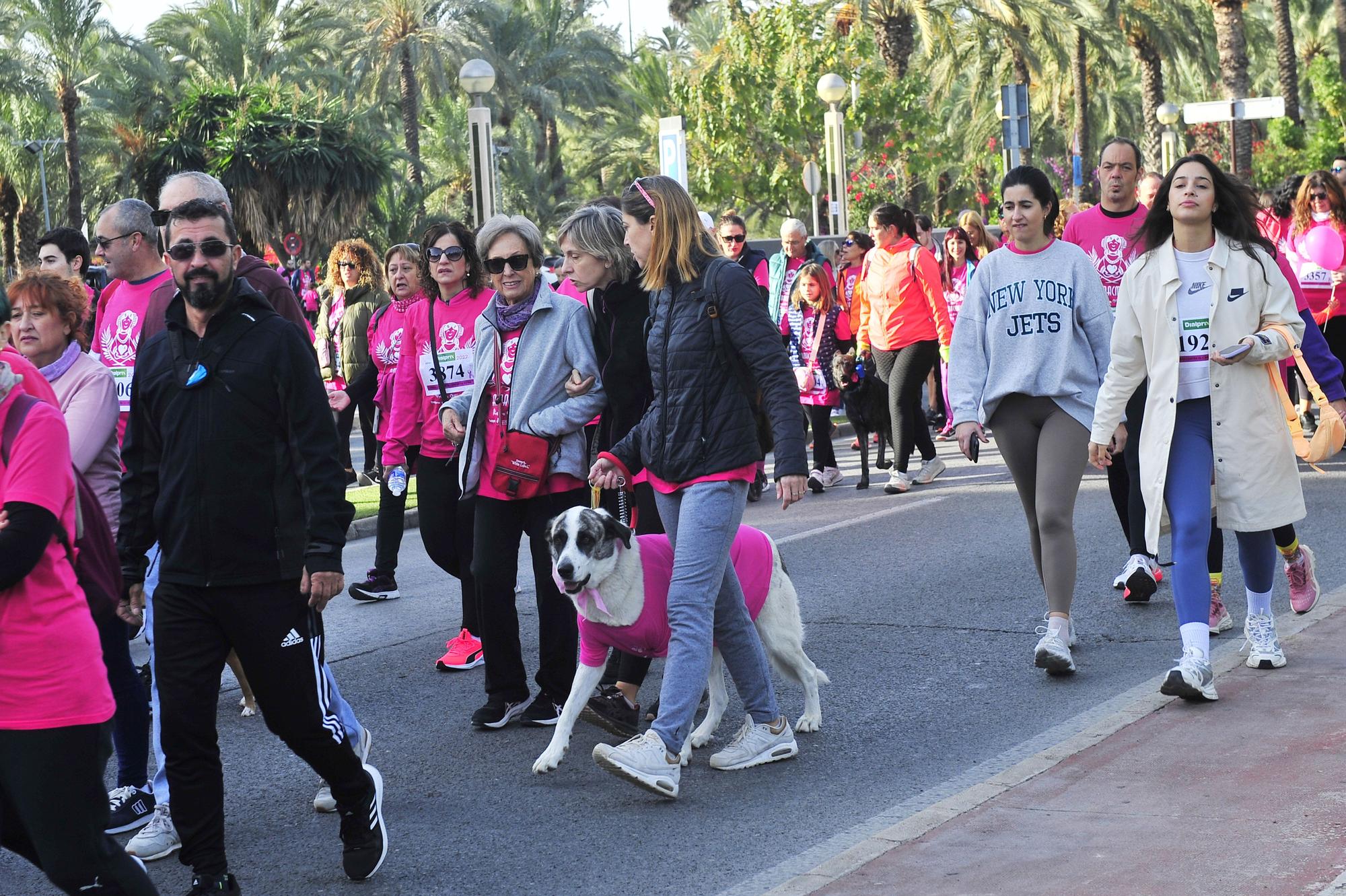 Más de 8.000 solidarios con el cáncer de mama en Elche