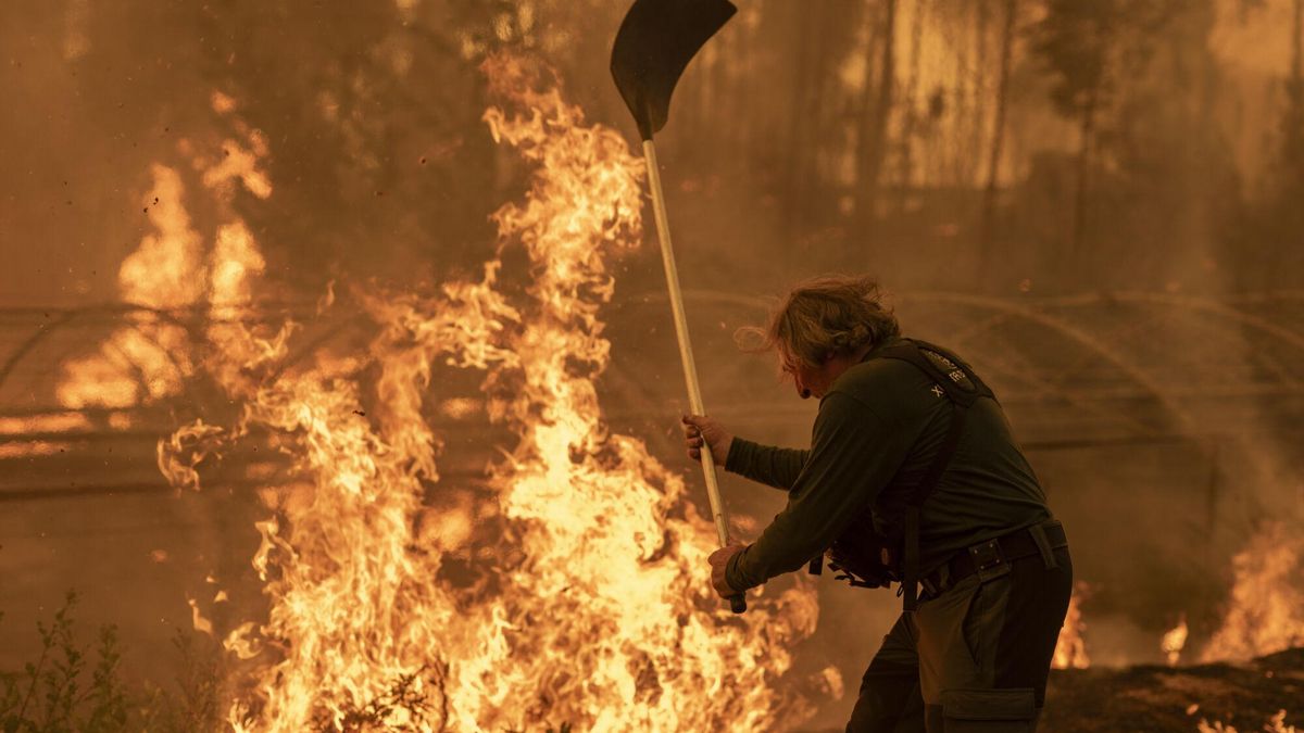 Los incendios que arrasan España han quemado 200.000 hectáreas en los últimos cuatro días, según el recuento de Copernicus