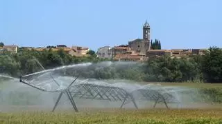 Solución revolucionaria: diseñan un suelo ‘inteligente’ capaz de regarse y alimentarse a sí mismo