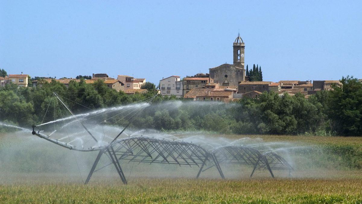Sistema de riego en un maizal de Colomers (Girona).
