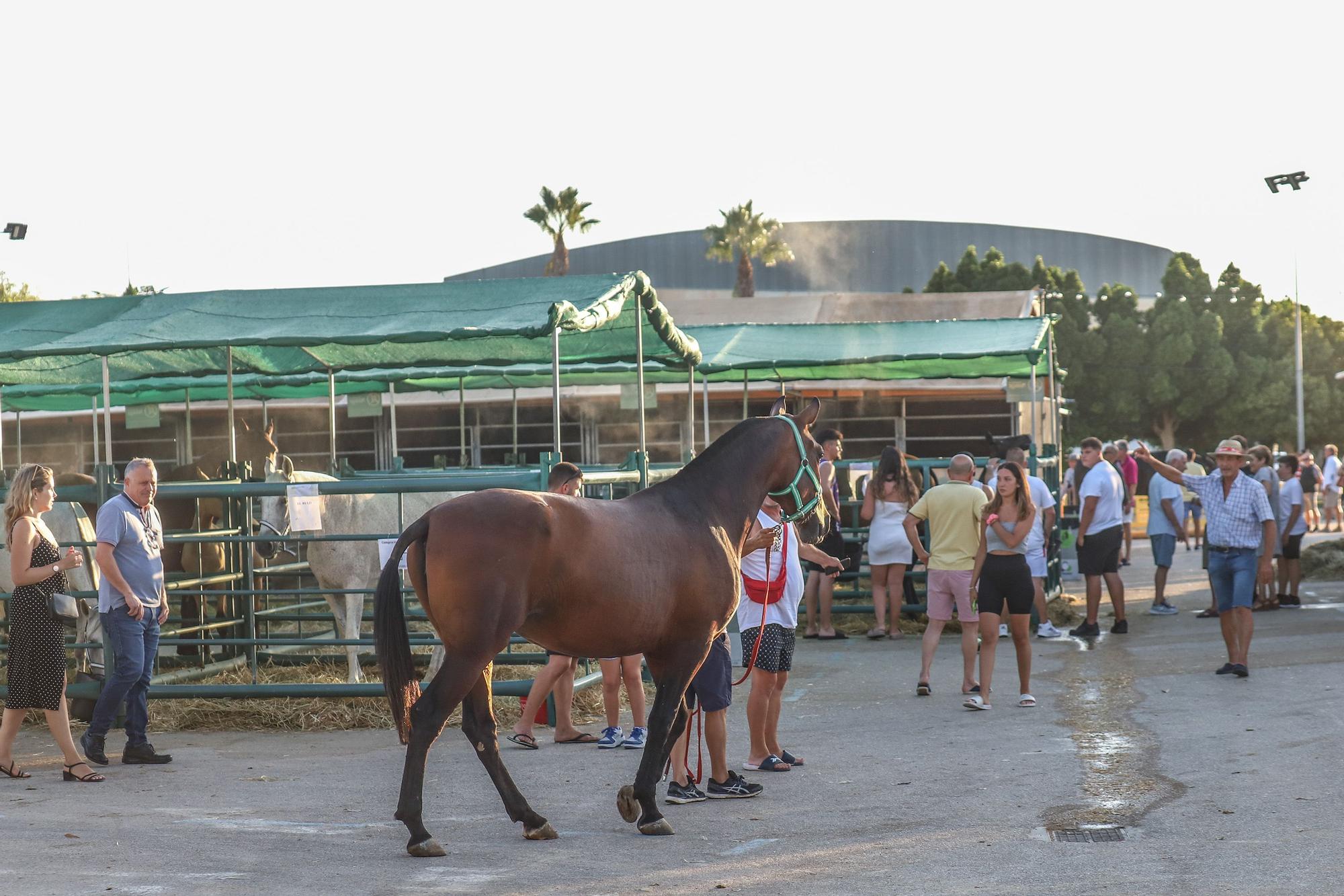 Feria del Ganado Dolores FEGADO 2022