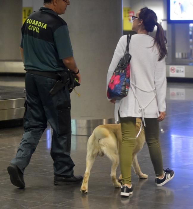 REPORTAJE UNIDAD CANINA AEROPUETO DE GRAN CANARIA