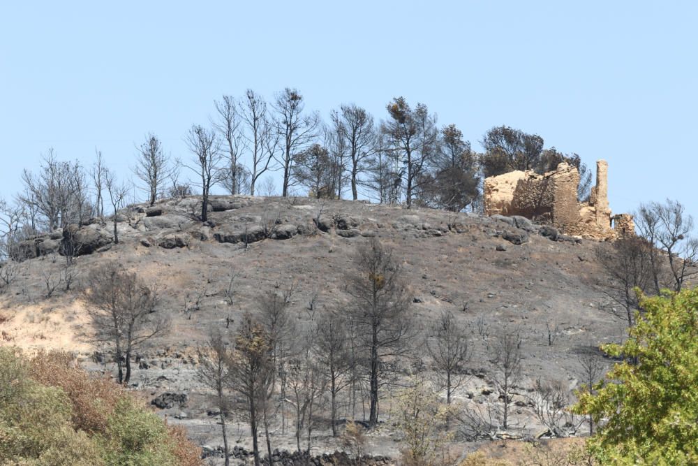 Incendi de Ribera d'Ebre