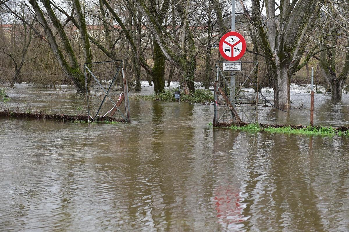 Fotogalería | El río se desborda en La Chopera de Plasencia