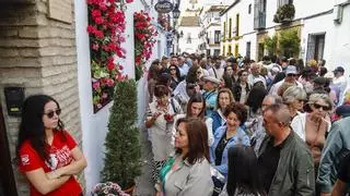 Los Patios de Córdoba viven su día más grande entre la bulla y el esplendor