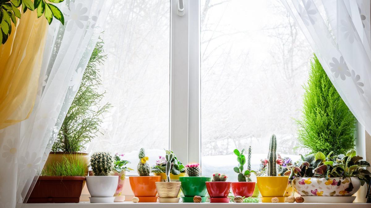 El producto perfecto para unas ventanas relucientes