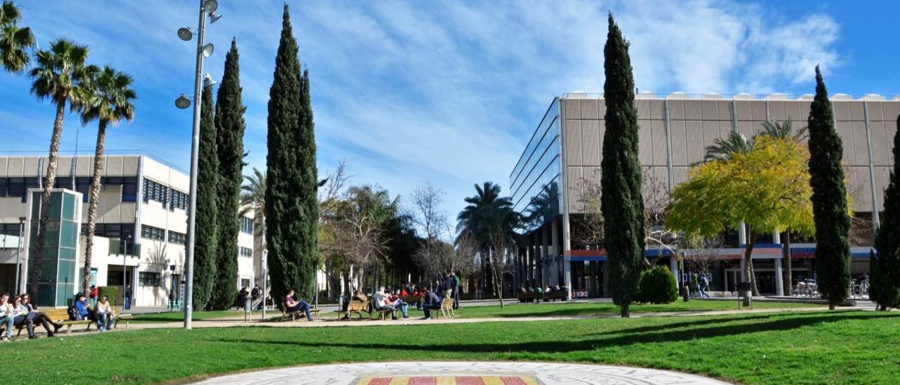 Universitat Politècnica de València.