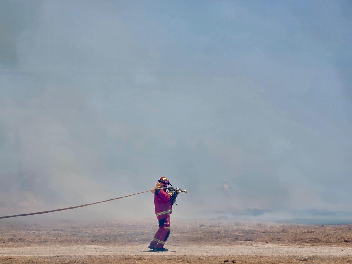 Las imágenes del incendio declarado en el cauce del río Vinalopó en pleno casco urbano de Sax Las imágenes del incendio declarado en el cauce del río Vinalopó en pleno casco urbano de Sax
