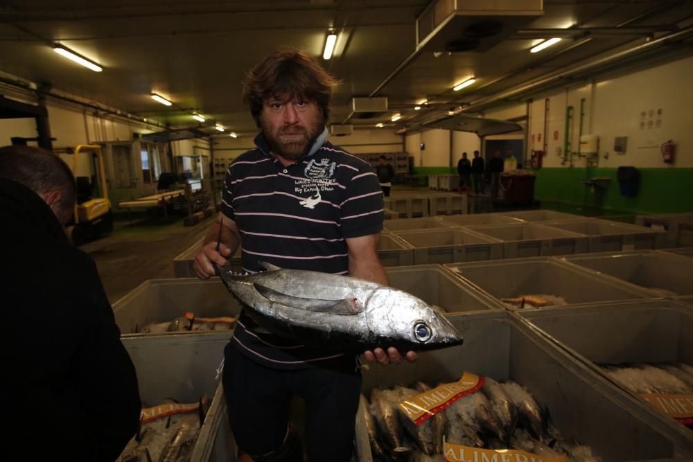 Bonito en la rula de Avilés