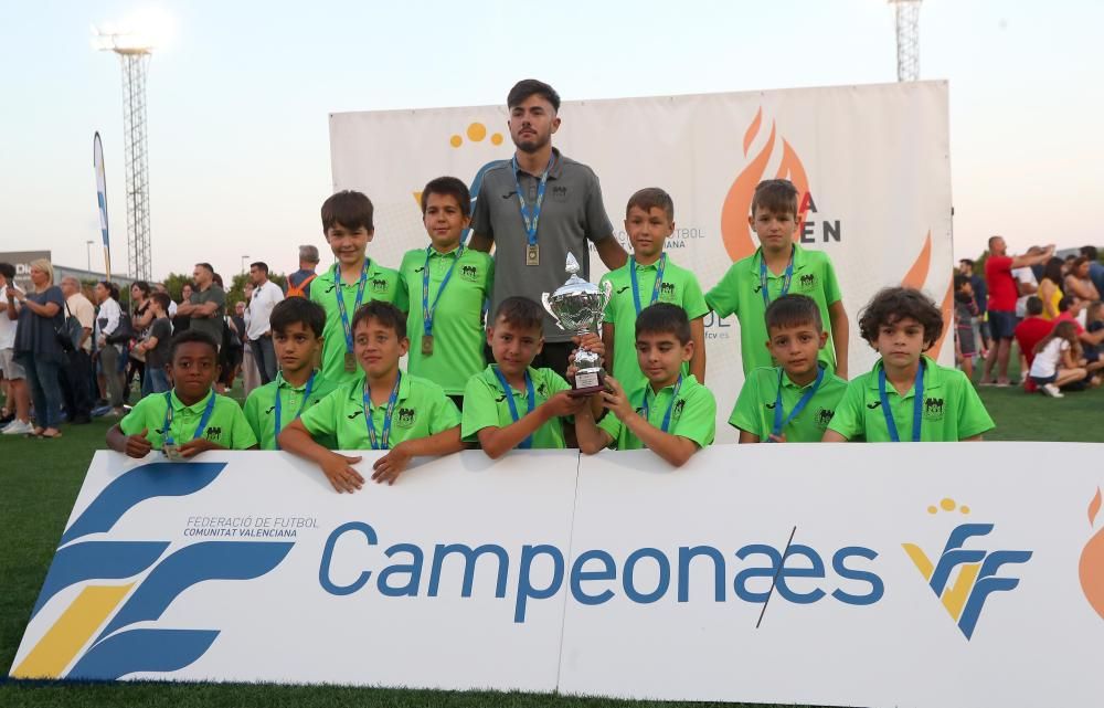 Campeones futbol 8