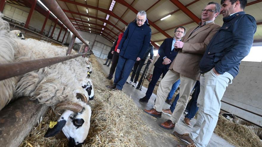 El consejero de Agricultura, durante su visita ayer a una explotación ganadera de Burgos. | R. Órdóñez- Ical