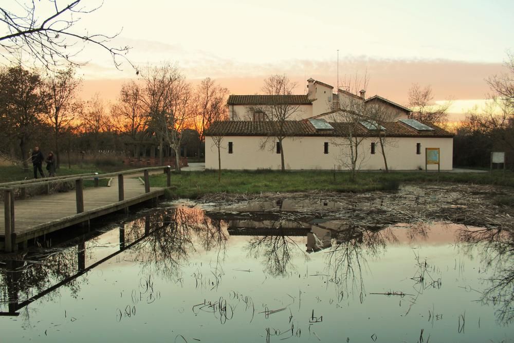 Posta de sol als Aiguamolls de l''Empordà