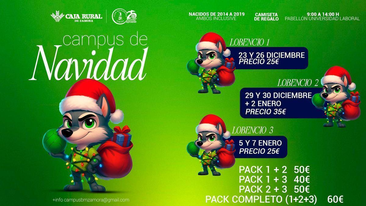 Infografía del Campus Urbano de Navidad del Balonmano Zamora.