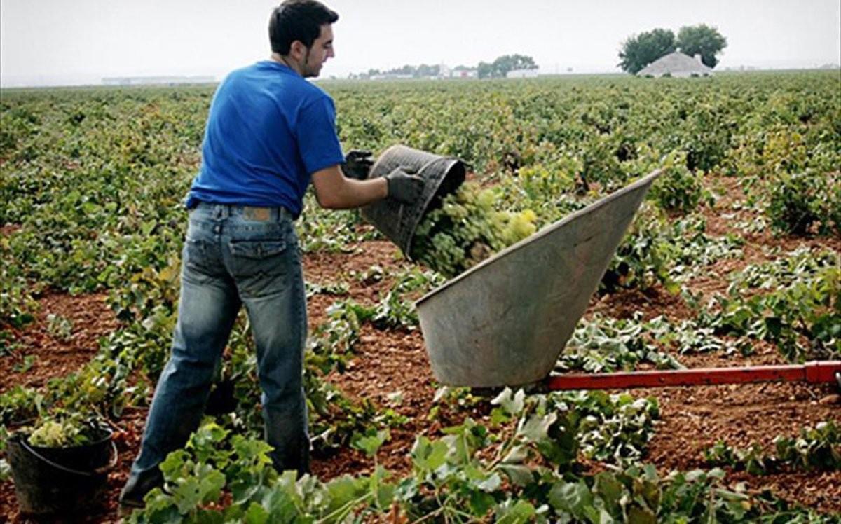 Archivo - Imagen de archivo de un joven agricultor trabajando en el campo.
