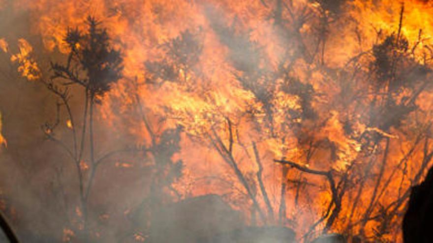 Incendio forestal que afectó el pasado año a Carnota // EFE