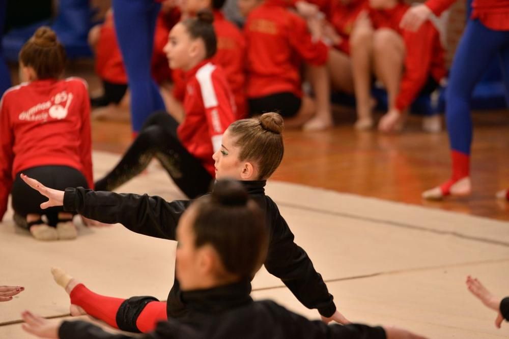 Campeonato Regional de Gimnasia Estética