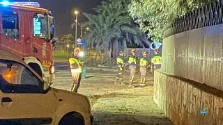 Caen ramas de un árbol en Playa del Inglés