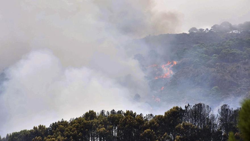 Imagen de un reciente incendio en La Zagaleta, en Benahavís.