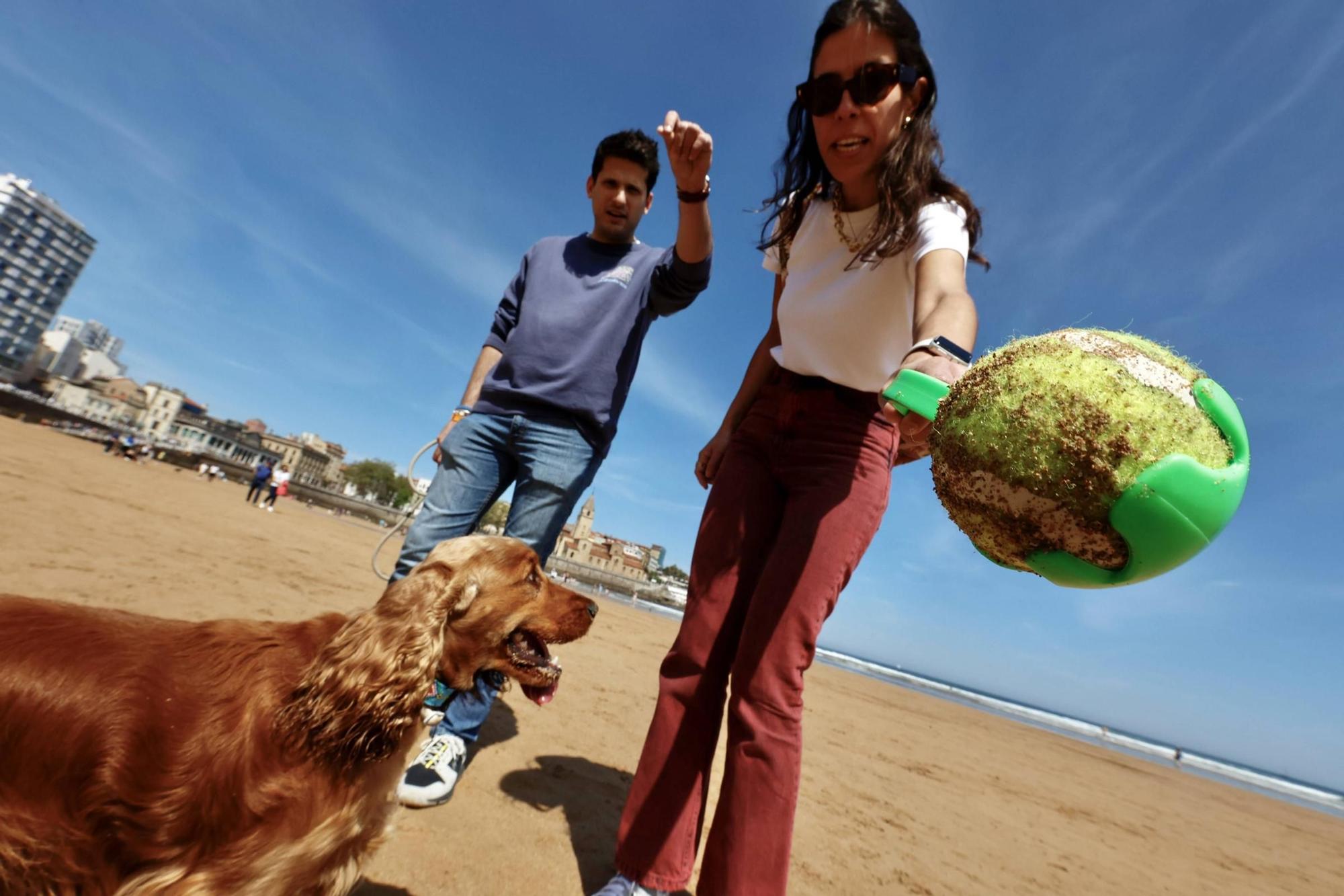 Ambiente playero en Gijón tras otra jornada de sol y calor (en imágenes)