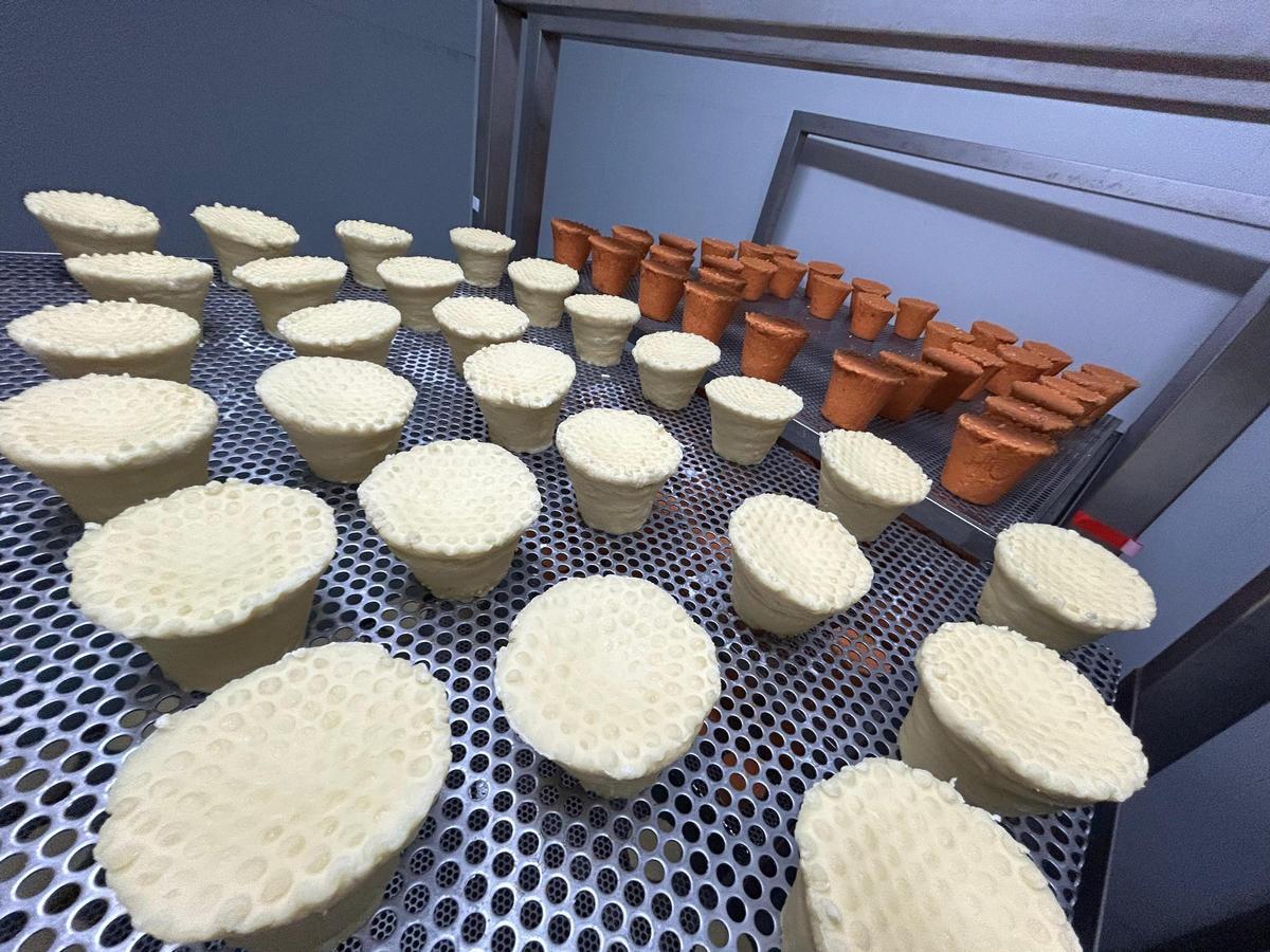 EN IMÁGENES: La quesería La Arquera y El Guaje, de Salas, "a pleno rendimiento" en la producción de Afuega'l Pito