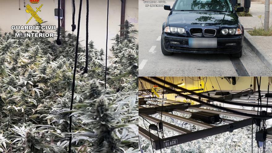 Plantas de marihuana y vehículo intervenido en el marco de la operación 'Karma T'