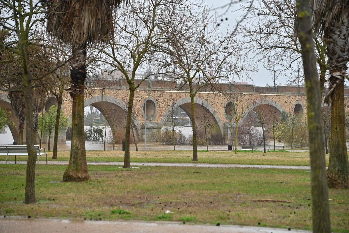 Fotogalería | Imágenes del temporal en Badajoz, este sábado