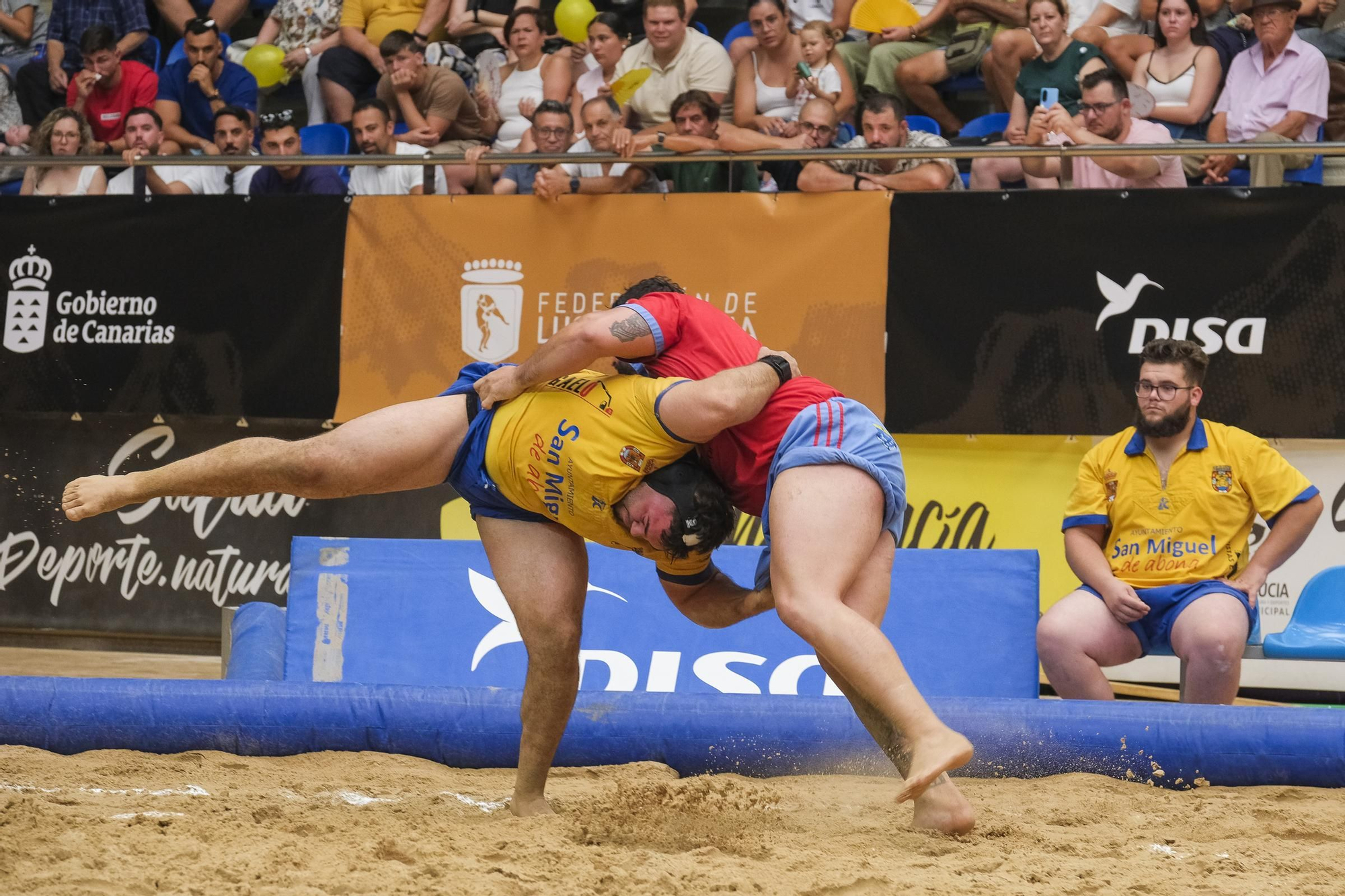 Final del torneo DISA Gobierno de Canarias de Lucha