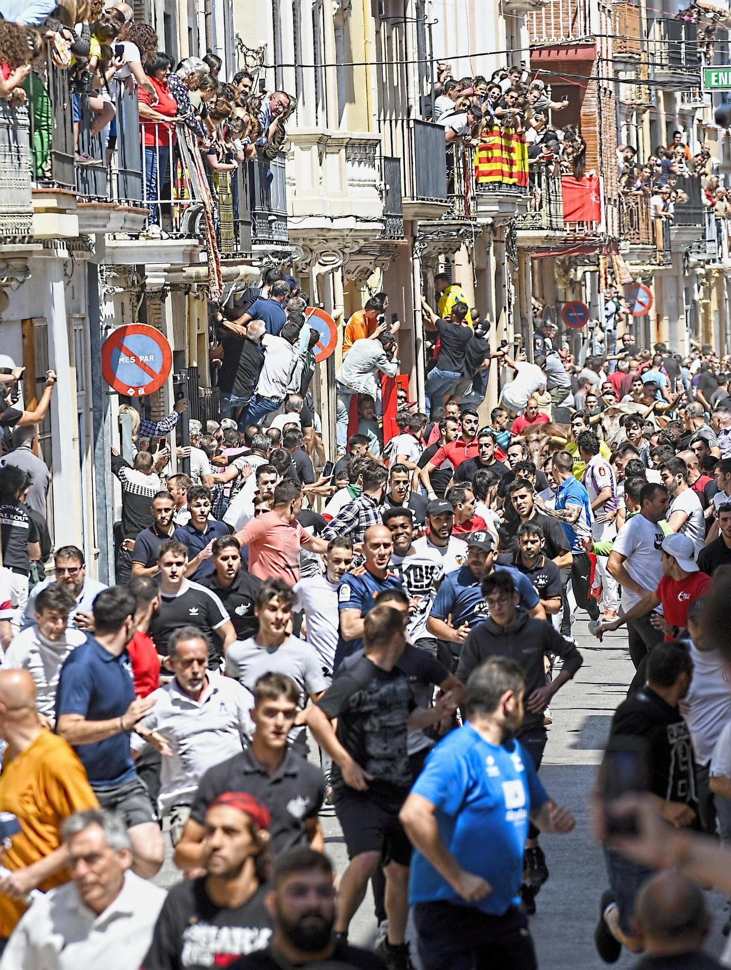 MACROGALERÍA DE FOTOS: Búscate en el encierro y los primeros 'bous' de las fiestas de Almassora