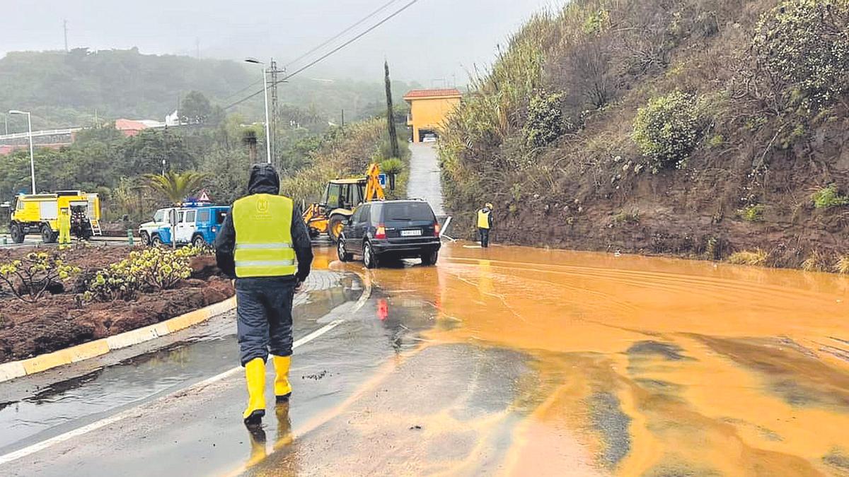 La lluvia y el viento dañan ahora plátanos y aguacates en La Palma