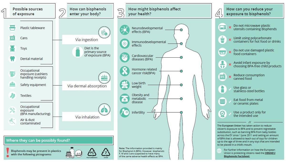 Efectos del bisfenol sobre el organismo humano