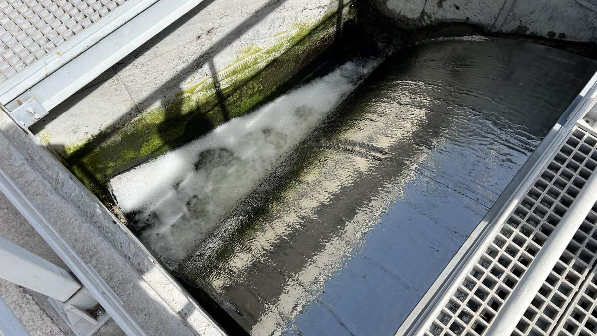 L'aigua sanejada de la depuradora de Figueres que s'aboca al medi