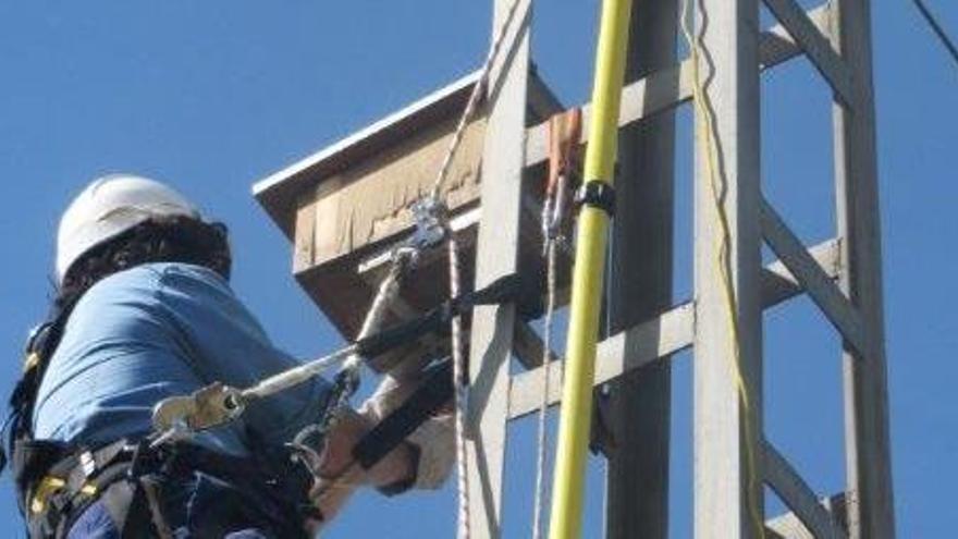 Un operari treballant en la col·locació de caixes niu