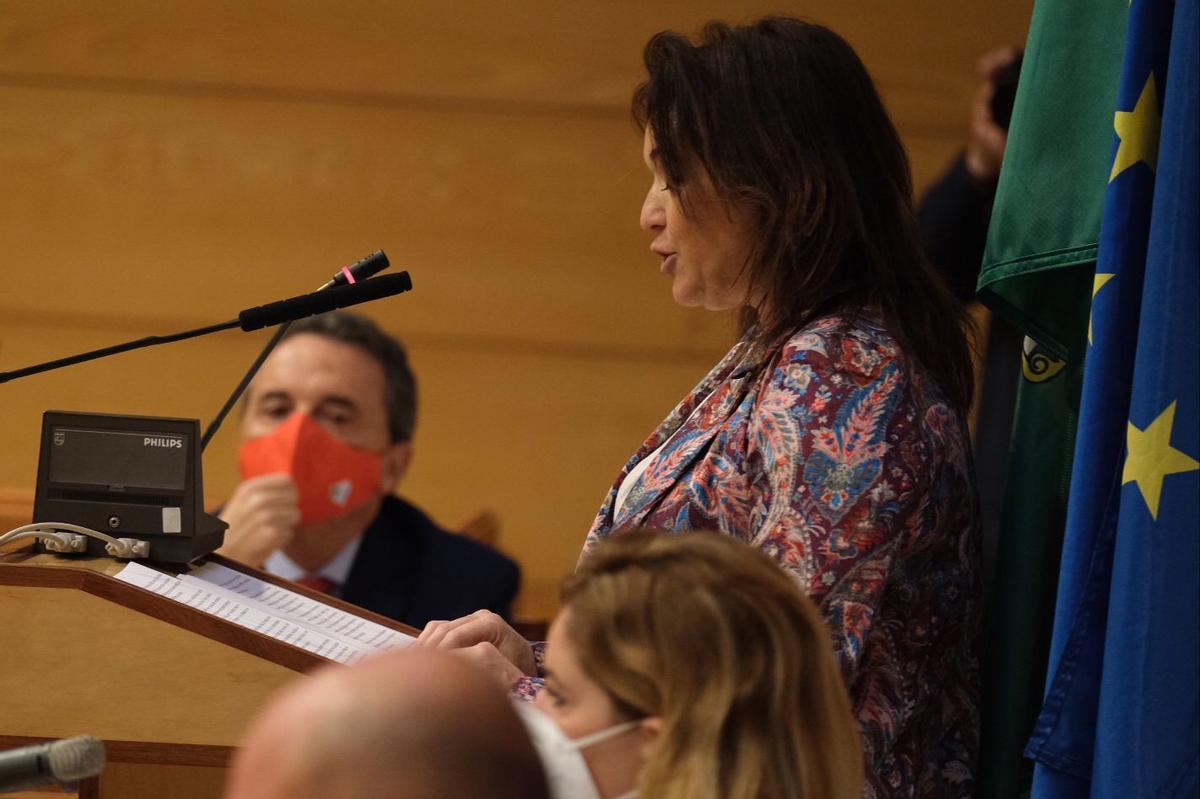 Las imágenes de la moción de censura en el Ayuntamiento de Torremolinos