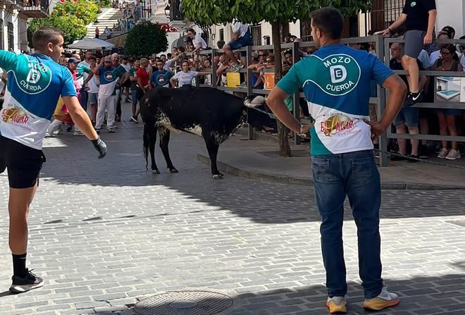 El toro de cuerda de Carcabuey, en imágenes