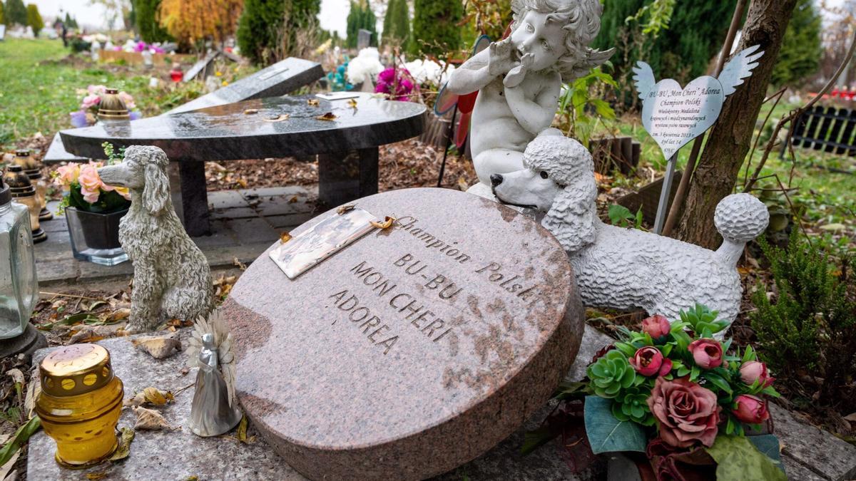 Vista de un cementerio para animales, en la ciudad polaca de Lodz. Alrededor de 3.500 animales, la mayor parte de ellos perros y gatos, pero también conejos y hamsters están enterrados en este recinto
