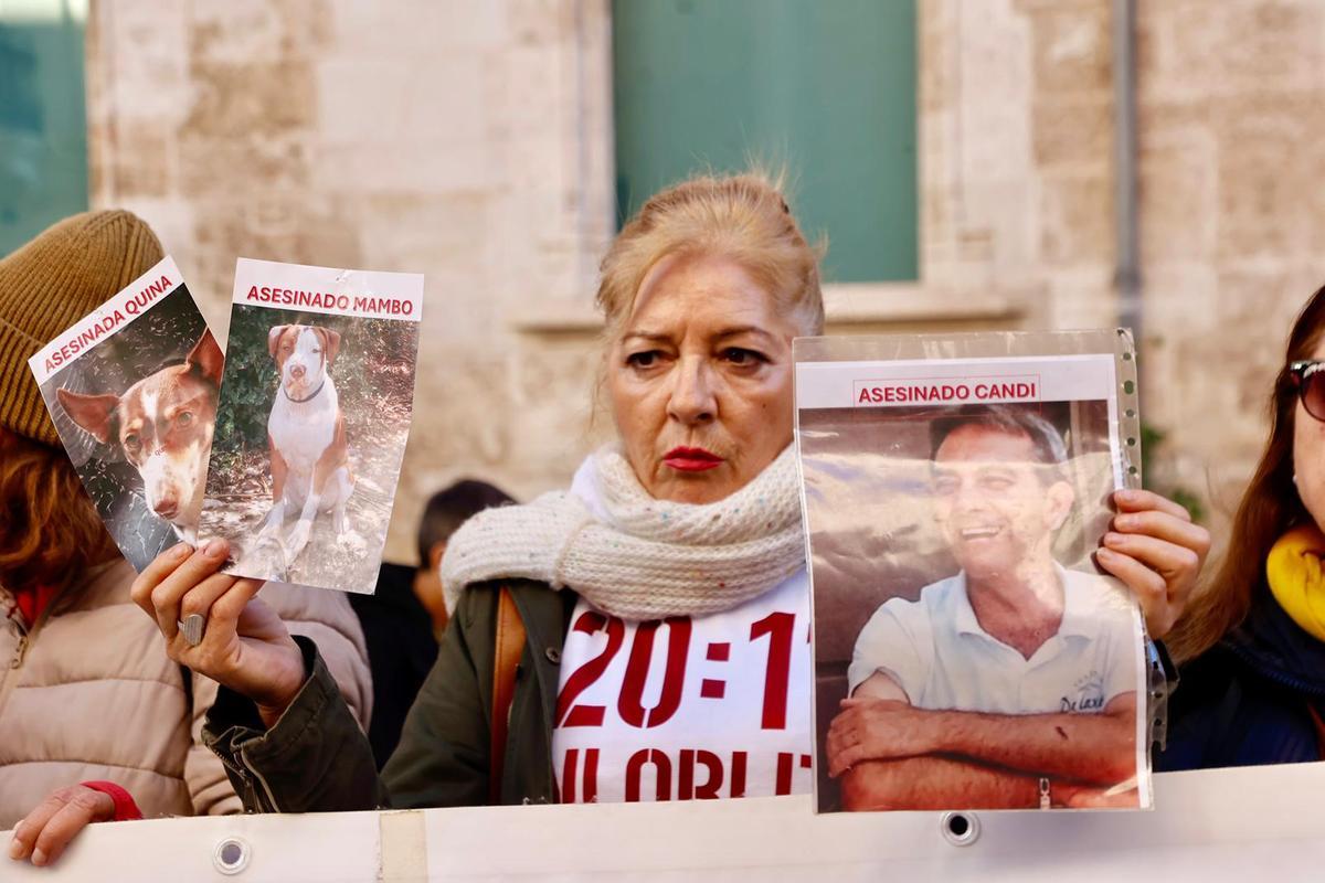 Víctimas de la dana en la puerta de Las Corts durante la investidura de Llorca