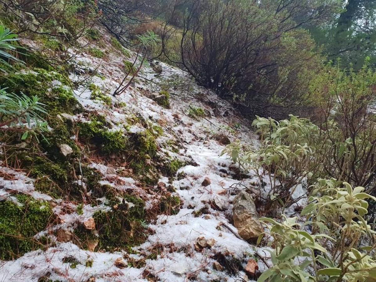 La primera nevada cuaja en la Serra de Tramuntana
