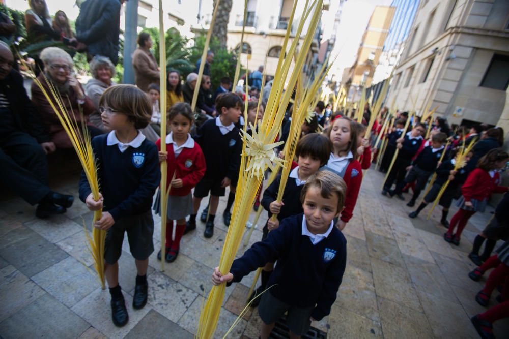 Domingo de Ramos en Alicante