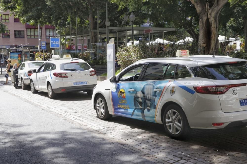 Cambios en los taxis de Santa Cruz de Tenerife