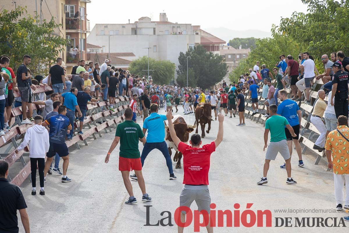 Segundo encierro de la Feria Taurina del Arroz en Calasparra