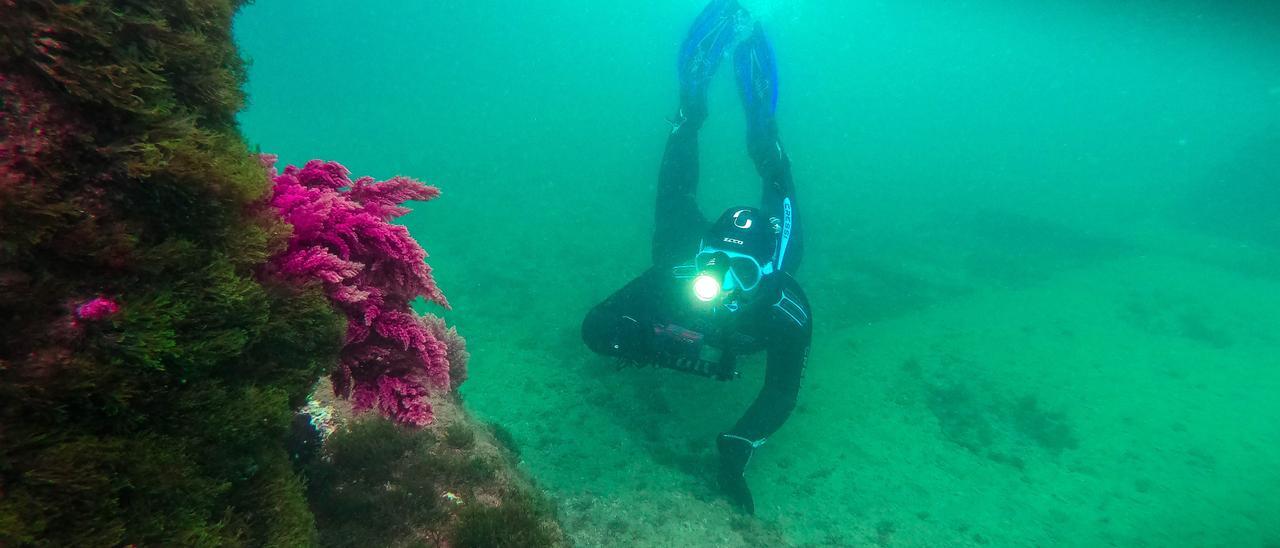 La bióloga marina Andrea Comaposada, durante el snorkel científico de Anèl•lides de este jueves, en la zona de baños del Fòrum.