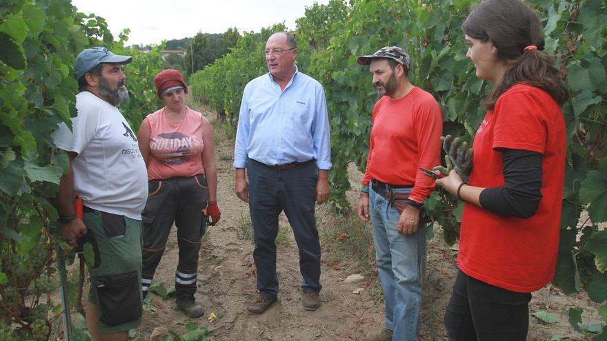 La bodega del cineasta José Luis Cuerda continúa con su tradición en otras manos