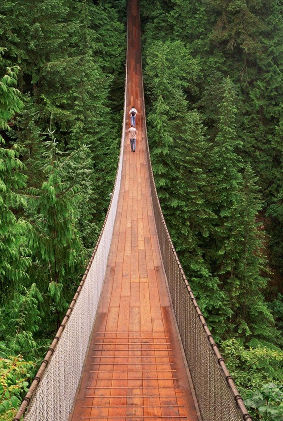 Puente colgante de Capilano, Vancouver (British Columbia, Canadá)