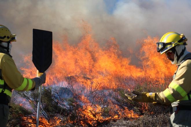 GALERÍA | Quemas en Sanabria para prevenir incendios