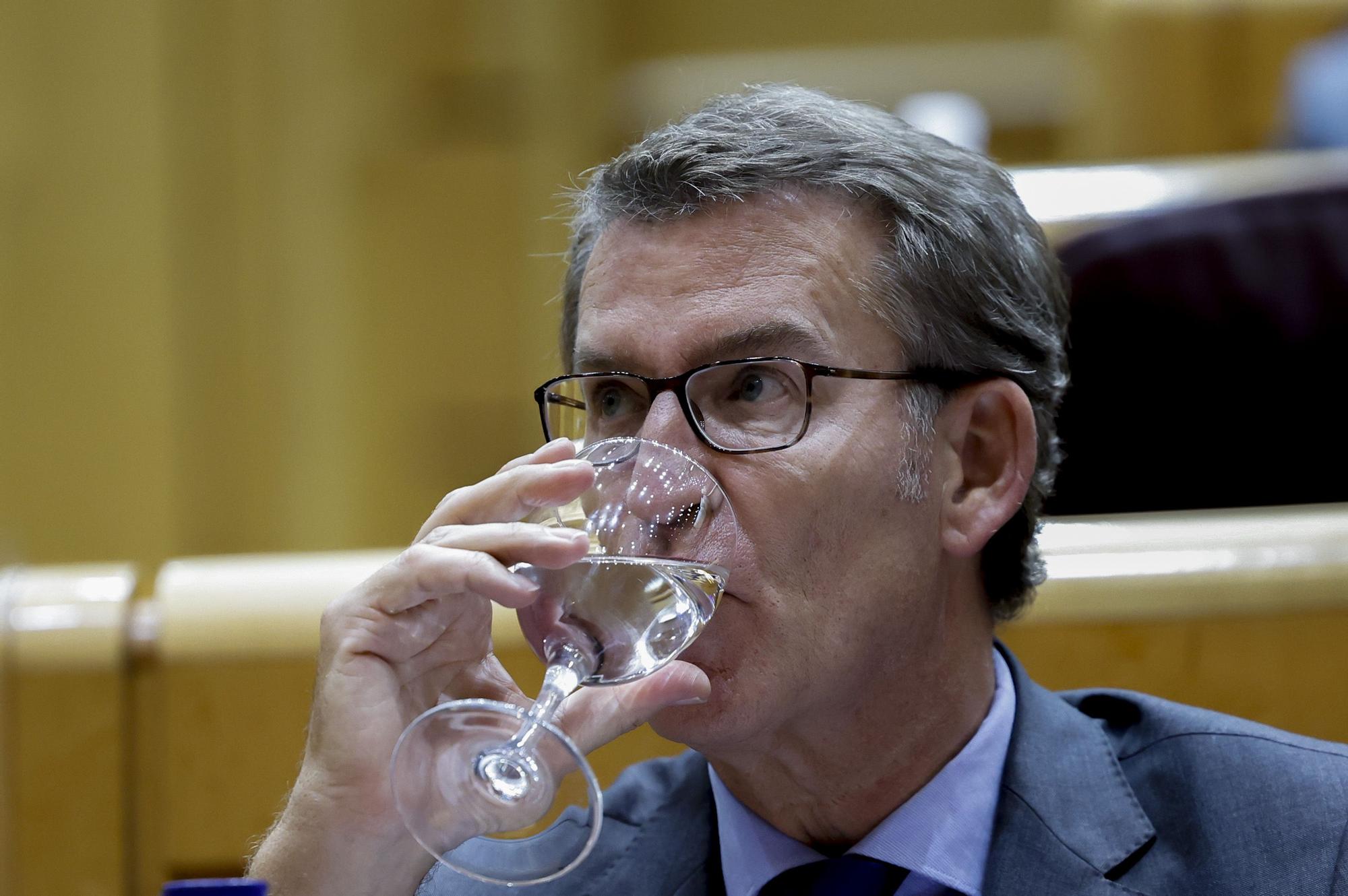 Feijóo durante el pleno en el Senado.