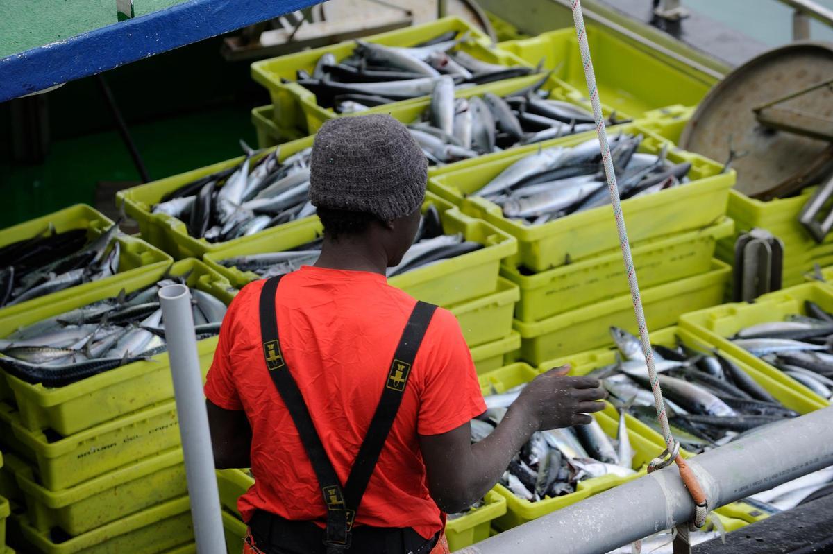 Un barco del Cantábrico lleno de caballa durante una de las últimas campañas de caballa.
