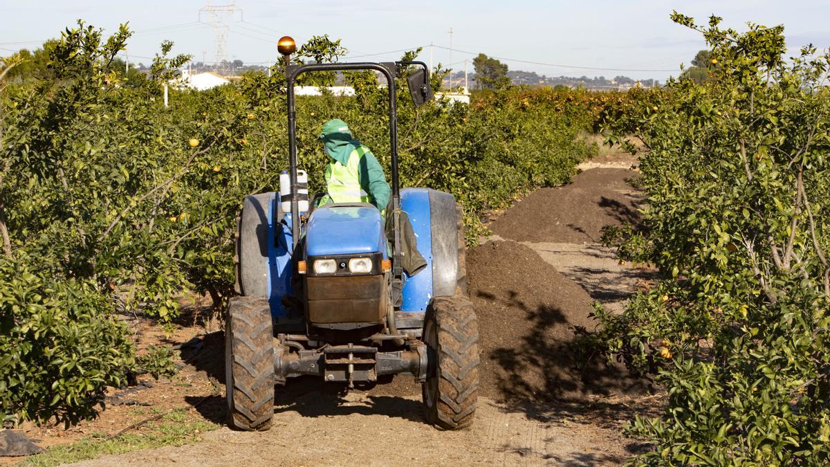 Compost derivado de residuos urbanos en un campo de cultivo.