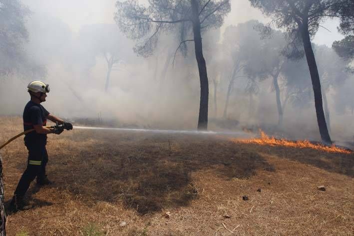 Las imágenes del incendio en el entorno del hospital de Los Morales.