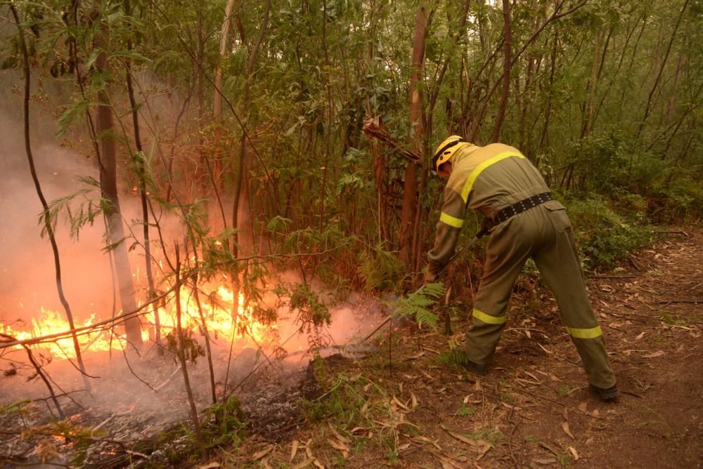 El fuego arrasa 6.000 hectáreas en Galicia