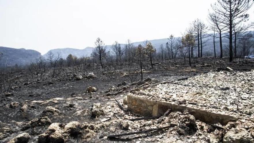 El fuego se quedó a apenas unos metros de alcanzar varias granjas de Pinet.